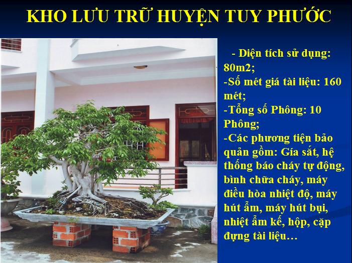 BÌNH ĐỊNH TỔ CHỨC LƯU TRỮ CẤP HUYỆN